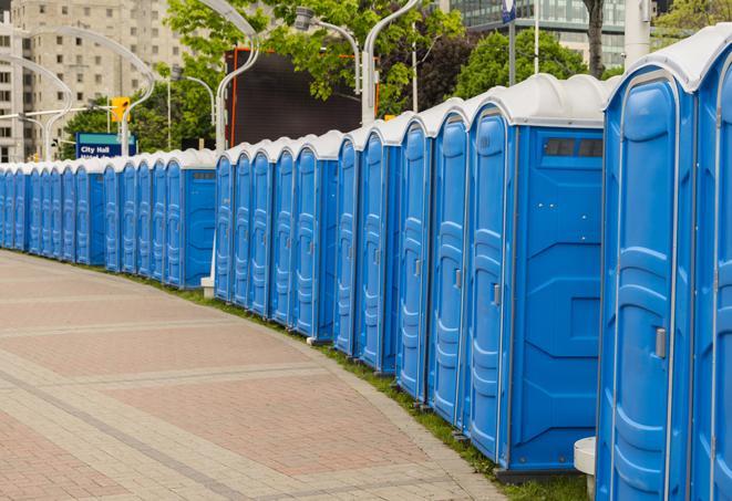 a line of brightly-colored portable restrooms, perfect for outdoor festivals and concerts in Bronx